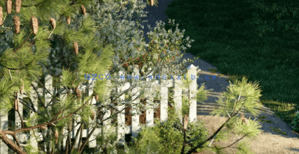 花园装饰植物Globe Plants - Bundle 43 - Canadian Home & Garden Plants(图4) 花园装饰植物Globe Plants - Bundle 43 - Canadian Home & Garden Plants(图4)