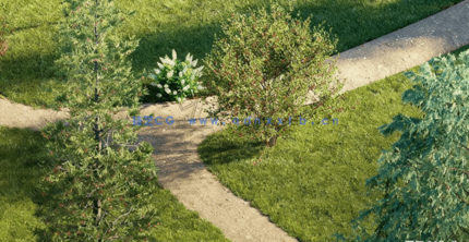 花园装饰植物Globe Plants - Bundle 43 - Canadian Home & Garden Plants(图5) 花园装饰植物Globe Plants - Bundle 43 - Canadian Home & Garden Plants(图5)