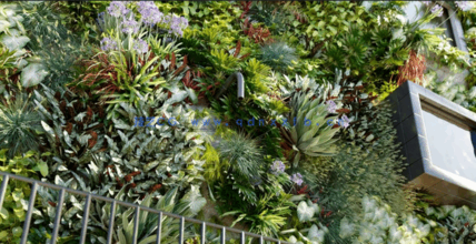 植物墙植物3D模型 Globe Plants – Bundle 47(图1)