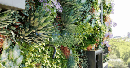 植物墙植物3D模型 Globe Plants – Bundle 47(图2)