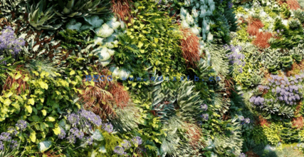 植物墙植物3D模型 Globe Plants – Bundle 47(图4)