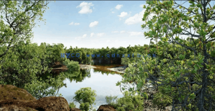 红树林树木植物3D模型 Globe Plants – Bundle 50(图1)