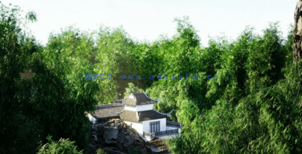 竹子植物3D模型 Globe Plants – Bundle 51(图2)