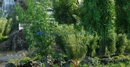 竹子植物3D模型 Globe Plants – Bundle 51(图4)