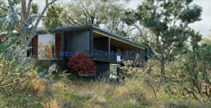 花园景观树木植物3D模型 Globe Plants – Bundle 62(图2)