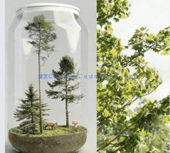  角落树PNG免抠素材Forest/Digital Vol. 3 – Corner trees(图1)