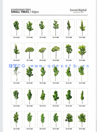 超高清树木PNG素材Forest/Digital Vol. 1 – Trees(图6)