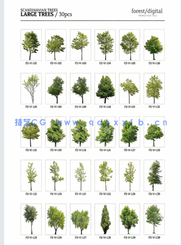 超高清树木PNG素材Forest/Digital Vol. 1 – Trees(图3)