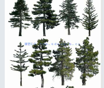  针叶树高清素材PHOTOBASH – Conifer Trees(图4)