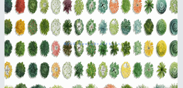  PSD手绘风平面植物免扣素材(图5)