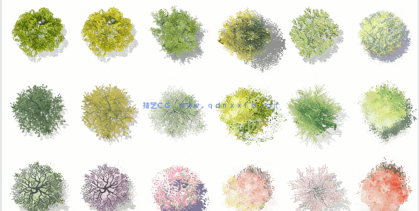  PSD小清新平面植物素材(图5)