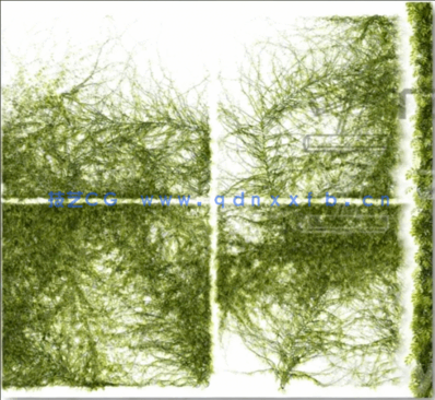 40个植物树木3DSKY PRO模型(图2)