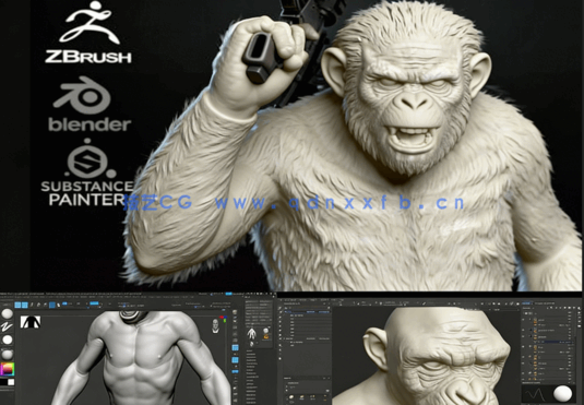 ZBrush《猩球崛起》科巴角色雕刻建模全流程视频教程(图5)