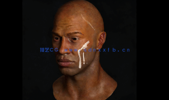 Zbrush与Mari逼真人物面部脸部角色模型核心技术视频教程(图4)