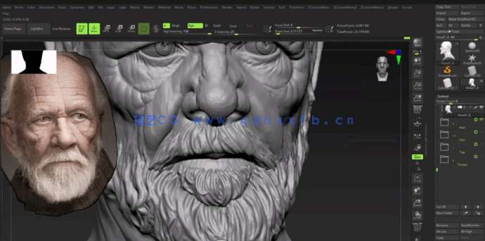 Zbrush人像肖像雕刻核心技术训练视频教程 (图2)