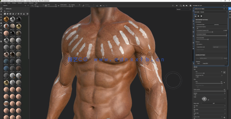  Zbrush逼真3D角色人体骨架肌肉解剖制作视频教程(图5)