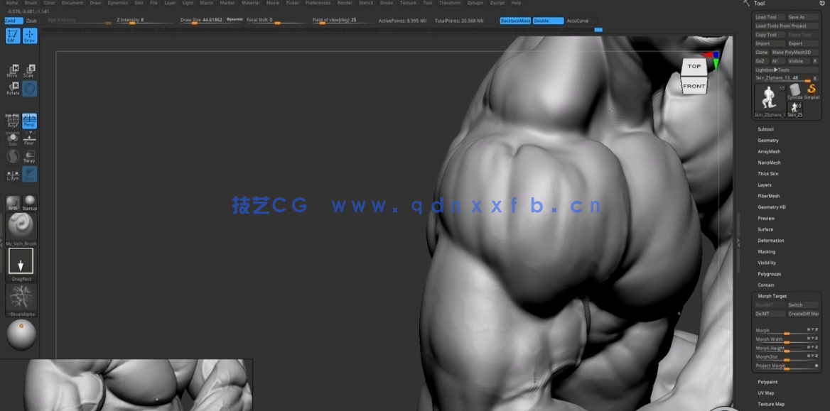 ZBrush健美运动员肌肉结构解剖雕刻技术视频教程 (图4)