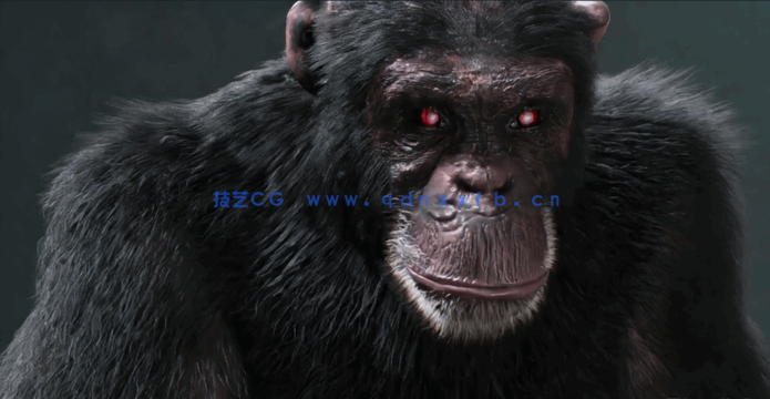 逼真黑猩猩生物CG制作全流程视频教程(图2)