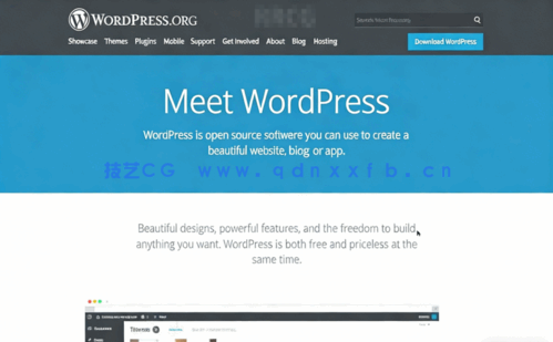 使用响应式WordPress主题制作网站工作流程视频教程(图2)