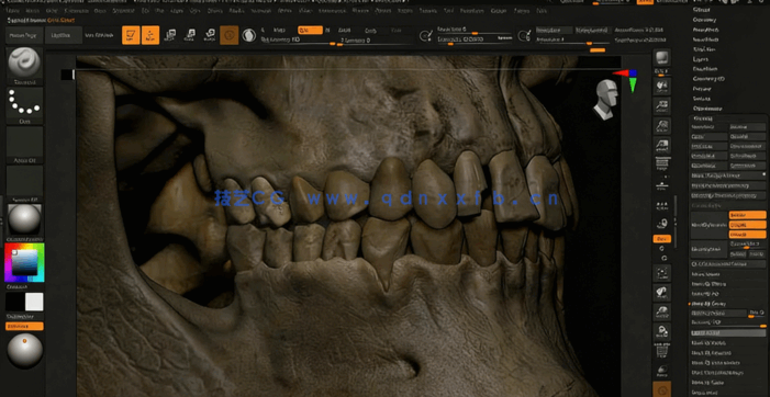 Zbrush人类头骨骷髅雕刻制作流程视频教程(图3)