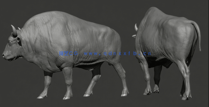 Zbrush与Maya野牛雕刻完整实例制作视频教程(图3)