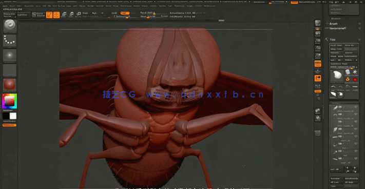 Zbrush逼真苍蝇雕刻建模实例制作视频教程(图5)