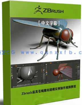 Zbrush逼真苍蝇雕刻建模实例制作视频教程(图1)