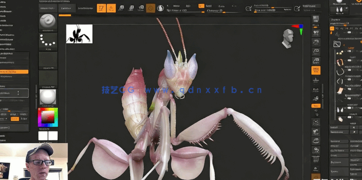 ZBrush与Marmoset Toolbag螳螂生物概念雕刻建模视频教程(图3)