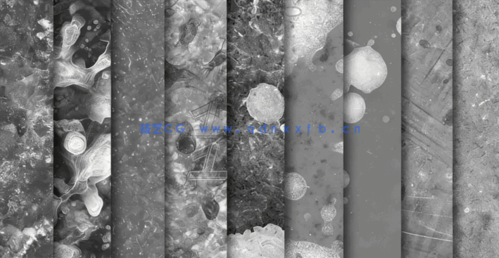 100 种实用的模板瑕疵 黑白贴图VOL 4(图2)