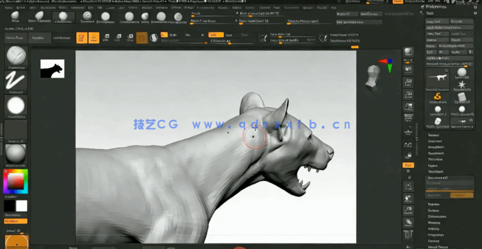 ZBrush逼真动物雕刻解剖学制作流程大师级视频教程(图4)