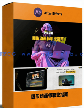 动态图形MG动画师自由职业实战指南视频教程(图1)