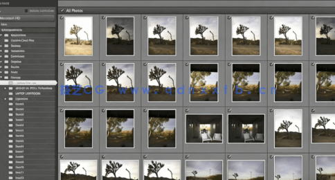 日常摄影基础照片编辑后期制作实例训练视频教程(图2)