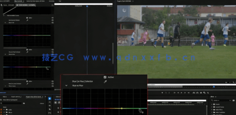 【中文字幕】Premiere Pro视频剪辑快速高效学习指南视频教程(图4)
