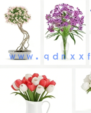 26组高质量C4D花卉盆栽室内景观植物模型(图3)