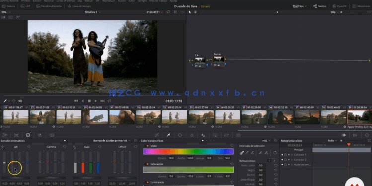 [DaVinci Resolve] 【中英双语】DaVinci Resolve系统性调色流程基础核心技(图5)