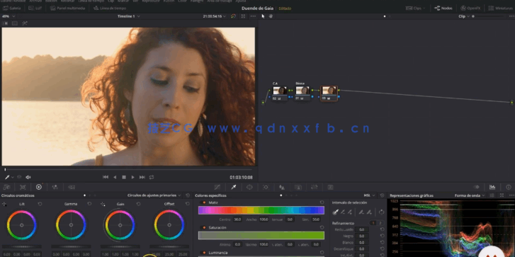 [DaVinci Resolve] 【中英双语】DaVinci Resolve系统性调色流程基础核心技(图6)