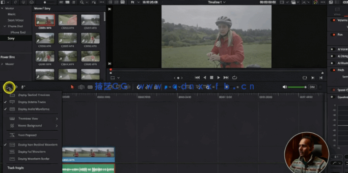 [DaVinci Resolve] 【中英双语】DaVinci Resolve油管视频剪辑高效工作流视频教程(图3)