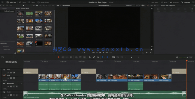 [DaVinci Resolve] 【中文字幕】DaVinci Resolve视频编辑初学者入门学习视频教程(图2)