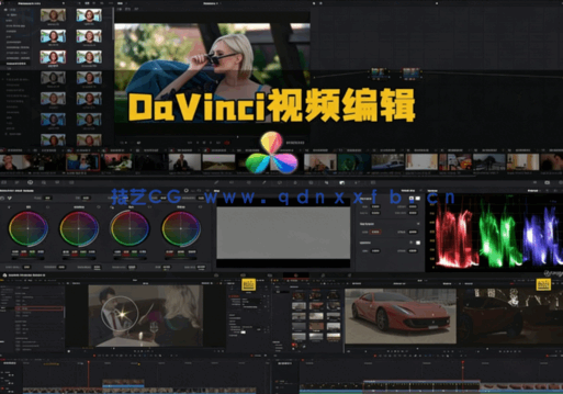 [DaVinci Resolve] DaVinci Resolve视频编辑从零开始全面训练视频教程(图8)