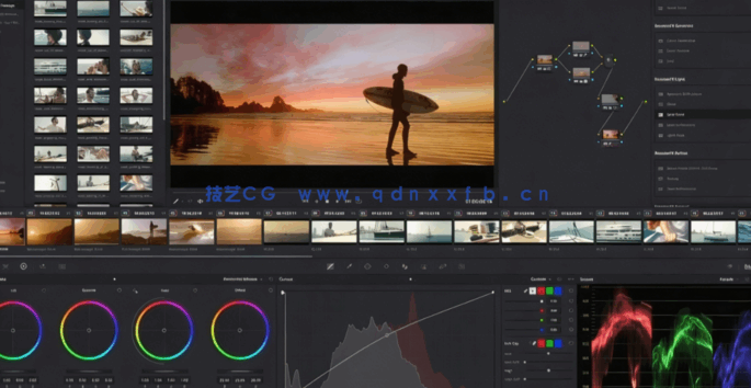 [DaVinci Resolve] 【中文字幕】DaVinci Resolve视频编辑初学者完全指南视(图4)