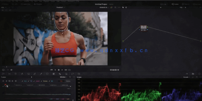 [DaVinci Resolve] DaVinci Resolve视频剪辑终极终极指南视频教程(图3)