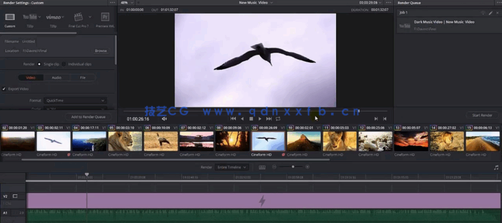 [DaVinci Resolve] DaVinci Resolve视频编辑从小白变大师视频教程(图2)