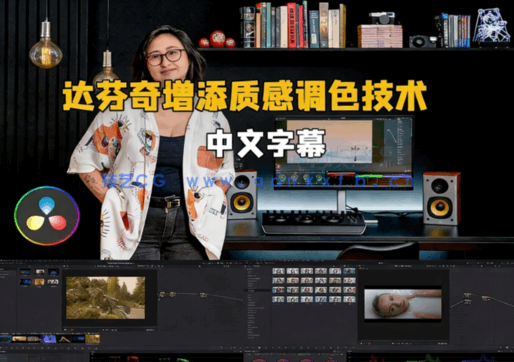 [DaVinci Resolve] 【中文字幕】DaVinci Resolve为影片增添质感调色技术视(图8)