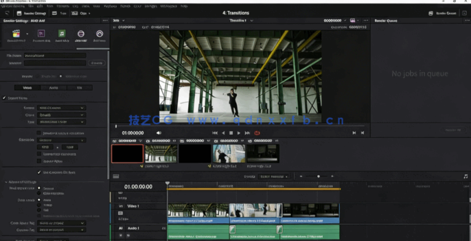 [DaVinci Resolve] DaVinci Resolve视频剪辑训练营视频教程(图5)