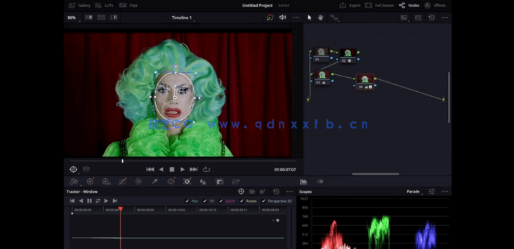 [DaVinci Resolve] 在iPad上使用DaVinci Resolve进行视频编辑视频教程(图5)