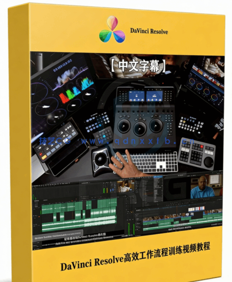 [DaVinci Resolve] 【中文字幕】DaVinci Resolve高效工作流程训练视频教程(图1)