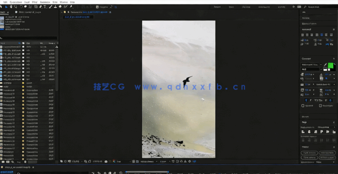 AE国外手机短视频编辑制作视频教程(图5)
