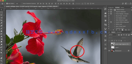 AE与PS 2.5D视差动画特效视频教程(图4)