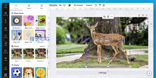 Canva AI人工智能大师班视频教程(图4)