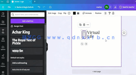 Canva社交媒体平面设计与视频编辑视频教程(图5)